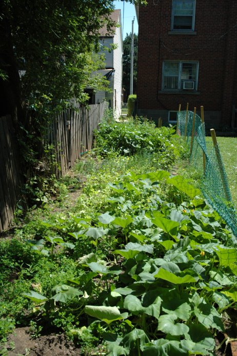 3827097714_923f5a735e_o