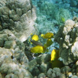 424182671_54a55880b5_o