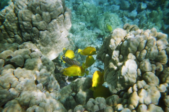 424182671_54a55880b5_o