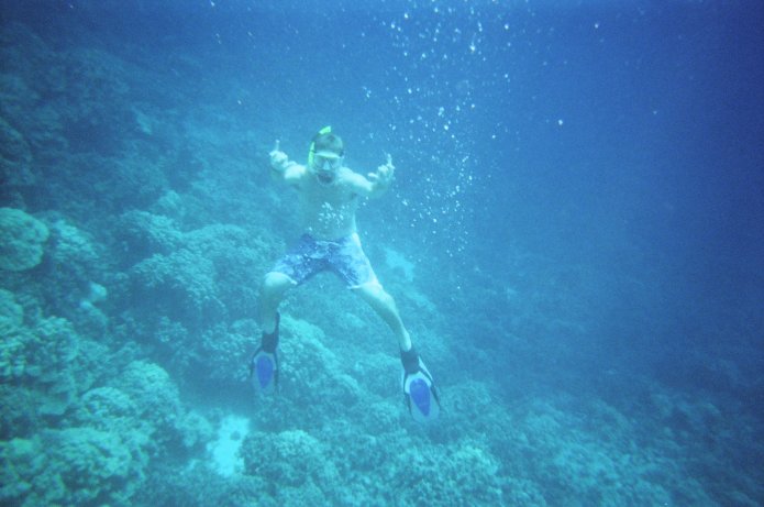 424185486_3f17cff443_o