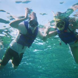 424186874_f523edd12a_o