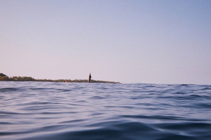 424187067_c1993a21de_o