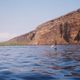 424187312_6b5f6e39f0_o