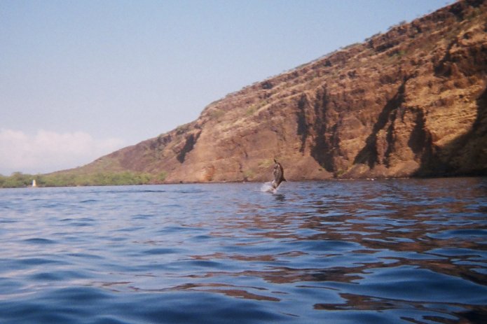 424187312_6b5f6e39f0_o