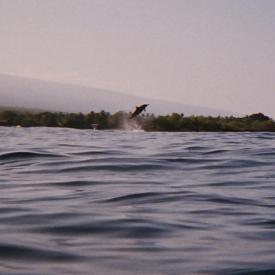 424187448_4f9388e939_o