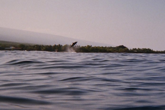 424187448_4f9388e939_o