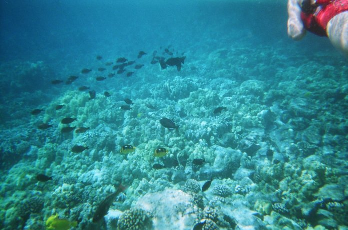 424190699_c51154cec5_o