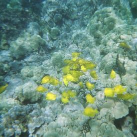 424193398_5c6f06d36d_o