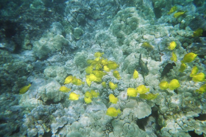 424193398_5c6f06d36d_o