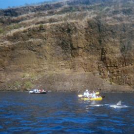 424193705_6dbcd70105_o