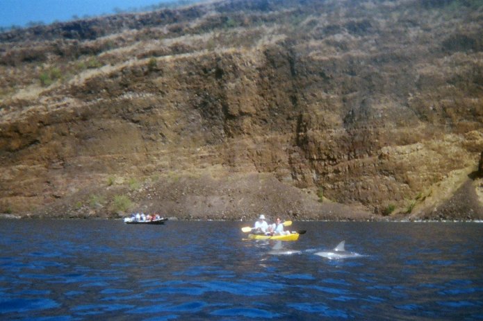 424193705_6dbcd70105_o