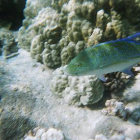 424195027_df0c826182_o