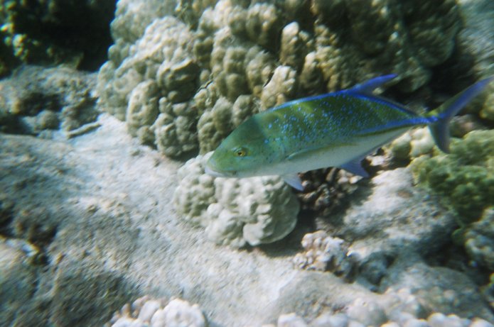 424195027_df0c826182_o