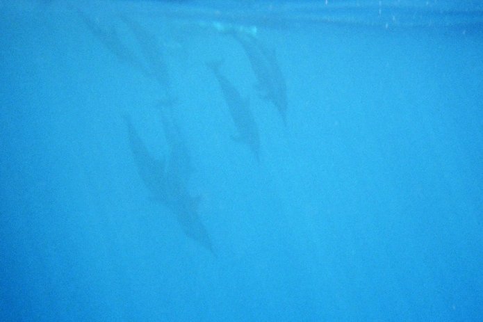 424196721_921c14faf8_o