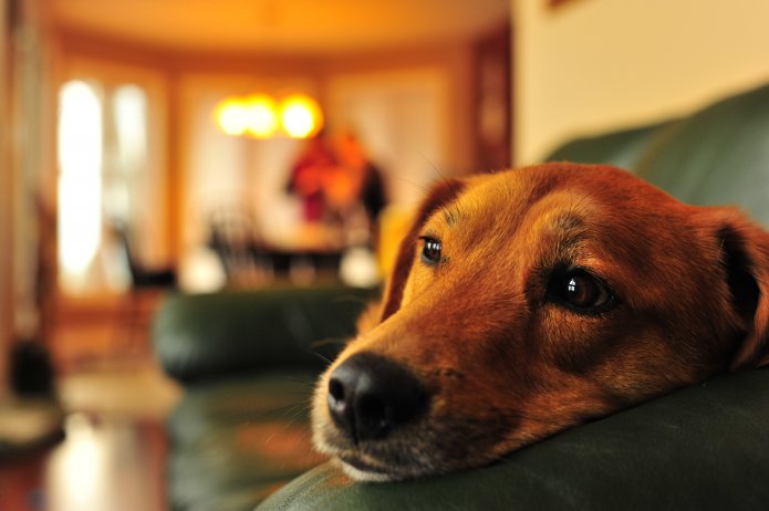 4167001156_00ee007792_o