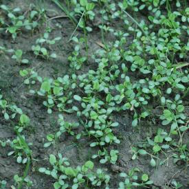 535088430_d5afcd31f9_o