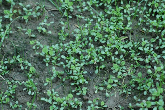 535088430_d5afcd31f9_o