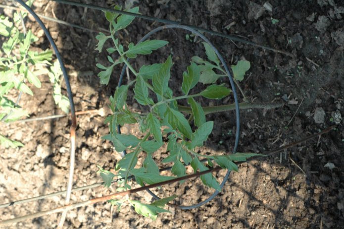 535098918_669b8efc34_o