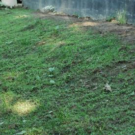 535205455_0a046b4d93_o