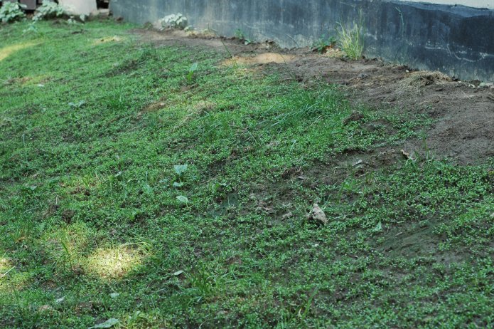 535205455_0a046b4d93_o