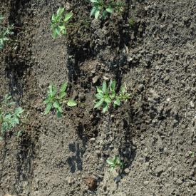 535208529_cadffbc827_o