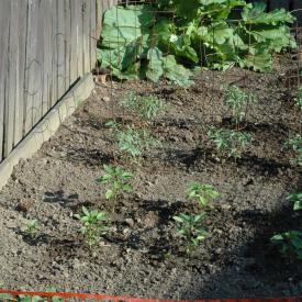 535209937_a3a1878767_o