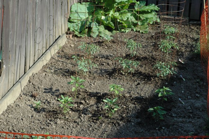 535209937_a3a1878767_o