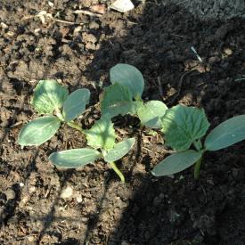 535219309_4aa915b044_o