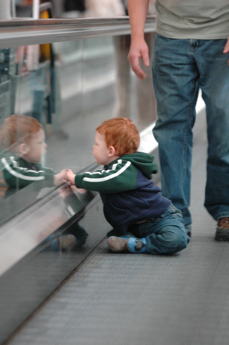 3294967251_434ddf4291_o