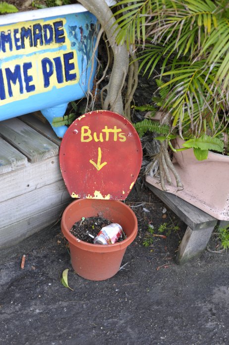 4423226171_30de2c9a76_o