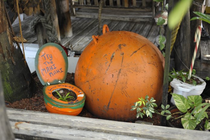 4423231131_b67d74f0c0_o