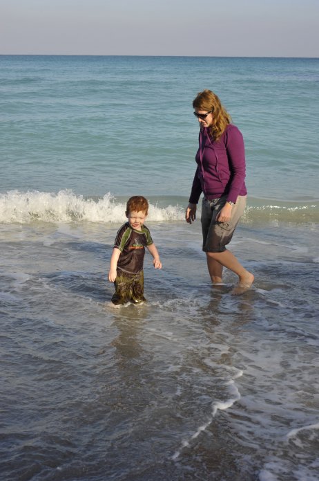 4423259117_a20c7ba5de_o