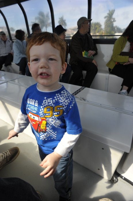 4423274113_d1241fca10_o