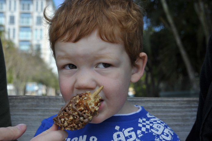 4423283855_a00d1c46c5_o