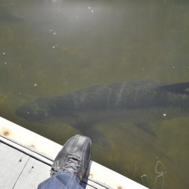 4424019510_10e9b39d0f_o