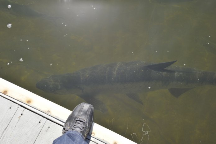 4424019510_10e9b39d0f_o