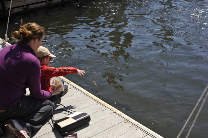 4424022006_102a4f50b3_o