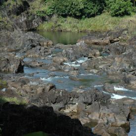 422246496_544fb77a9d_o