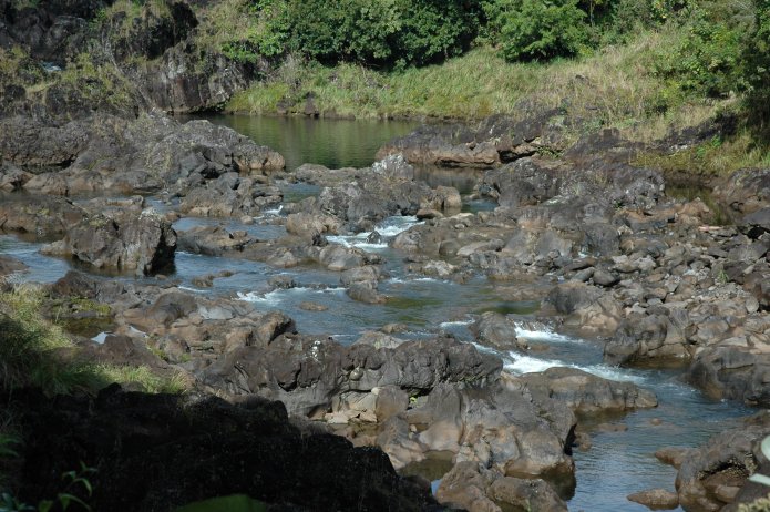 422246496_544fb77a9d_o