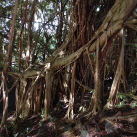 422248411_2f170fe933_o