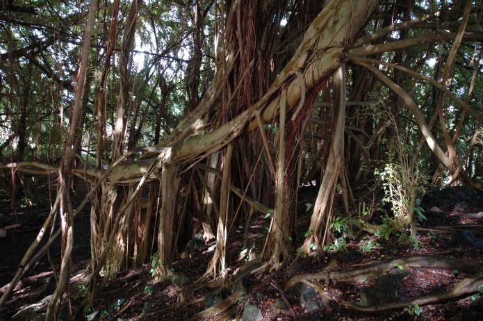 422248411_2f170fe933_o