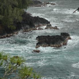 422249402_49c3344ebe_o