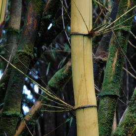 422250294_df62c21872_o