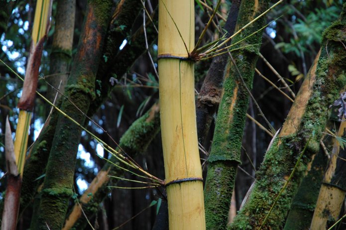 422250294_df62c21872_o