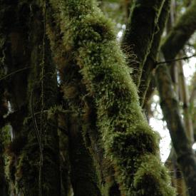 422251144_b1048249aa_o