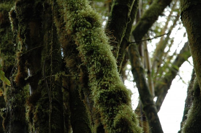 422251144_b1048249aa_o