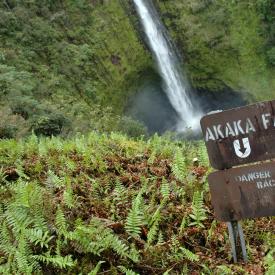 422253887_3fffd8a5b9_o