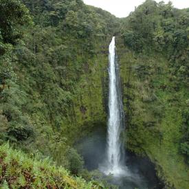 422254789_ee178057a9_o