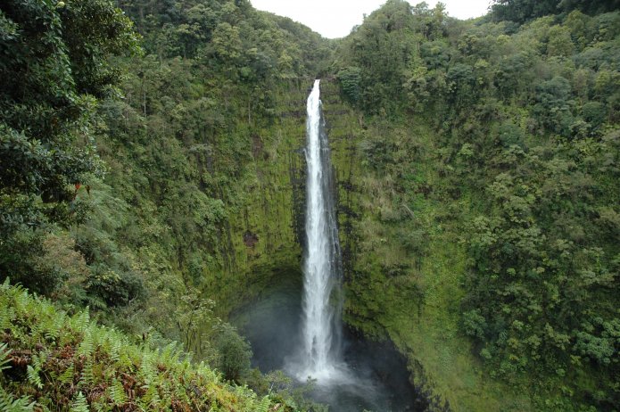 422254789_ee178057a9_o