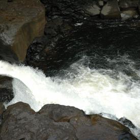 422255806_3cc1ea06db_o